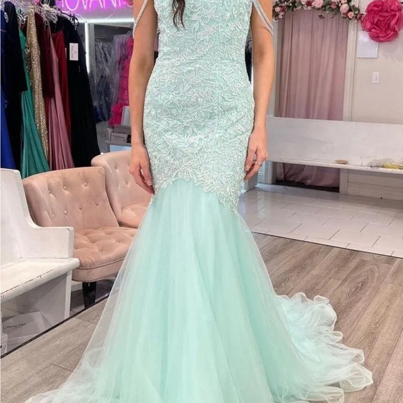 Vienna Pageant/Prom Dress - Picture 2 of 4